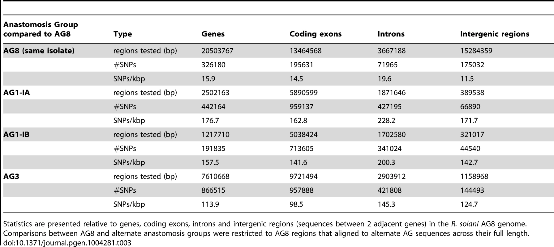 The frequency and relative densities of heterozygous SNPs within the <i>R. solani</i> AG8 genome assembly and SNPs between the genomes of AG8 and isolates from other anastomosis groups.