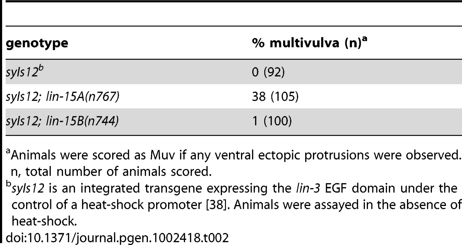 <i>lin-3</i> overexpression is enhanced more strongly by a class A synMuv mutation than by a class B synMuv mutation.