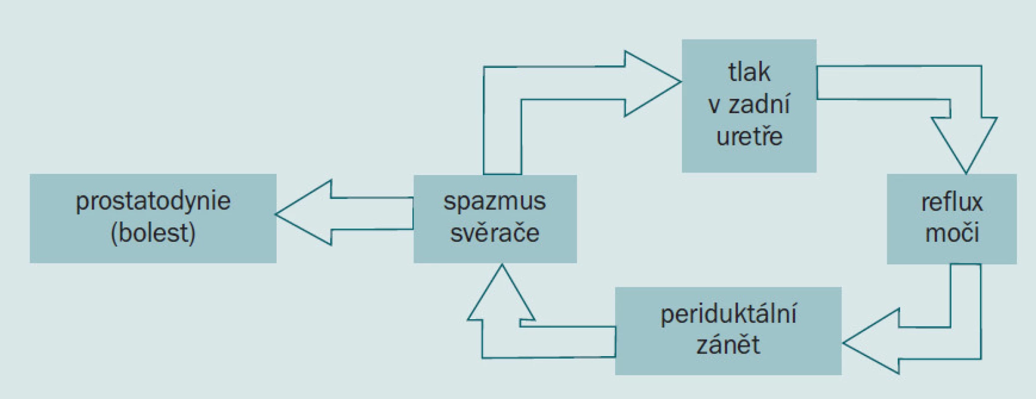 Samospouštěcí sekvence s výsledným bolestivým syndromem.