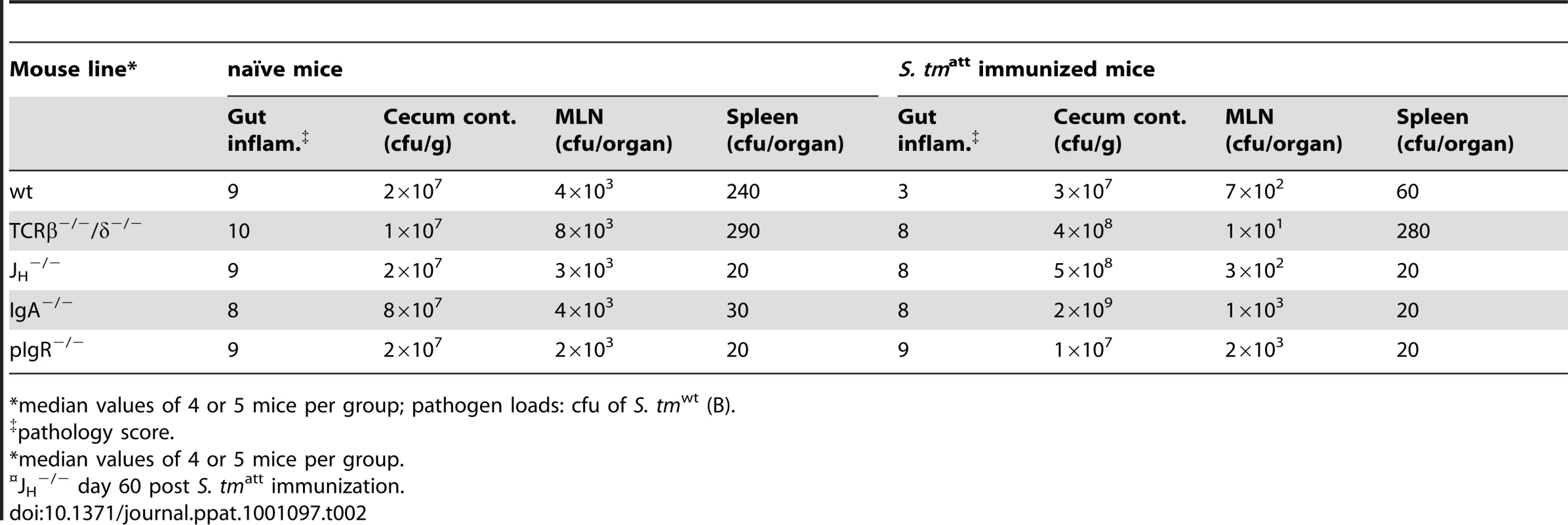 Challenge infection (day 2 post <i>S. tm</i><sup>wt</sup> challenge).