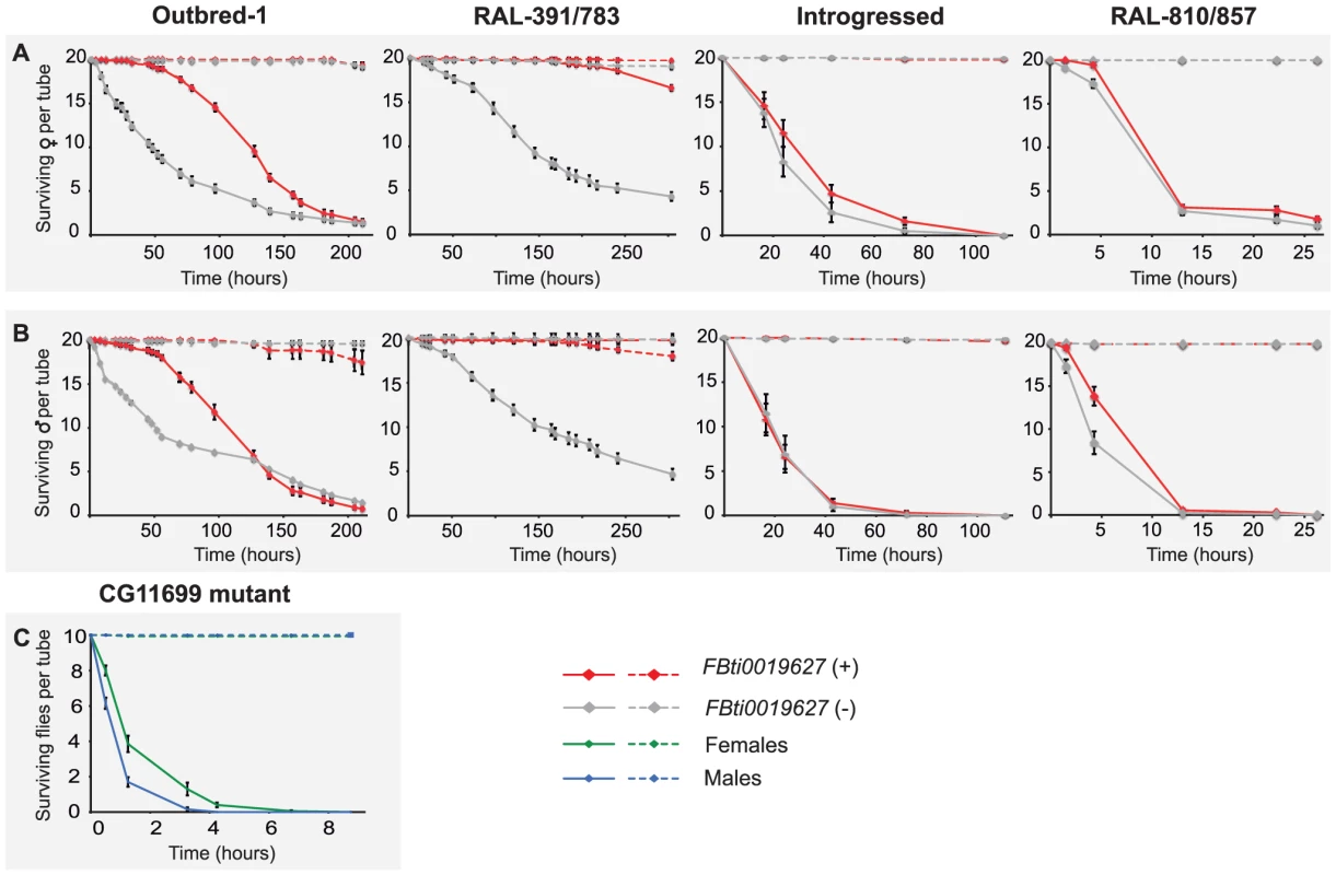 <i>FBti0019627</i> is associated with increased resistance to carbofuran.