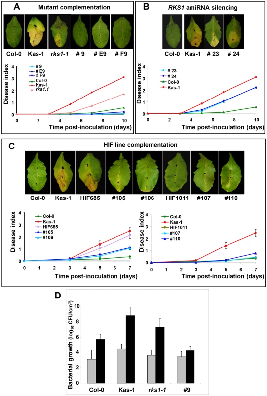 Genetic evidence that <i>RKS1</i> is causal for <i>QRX3</i> QTL.