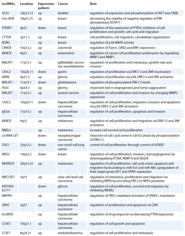 Detailed characteristics of long non-coding RNAs that regulate MAPK pathway.