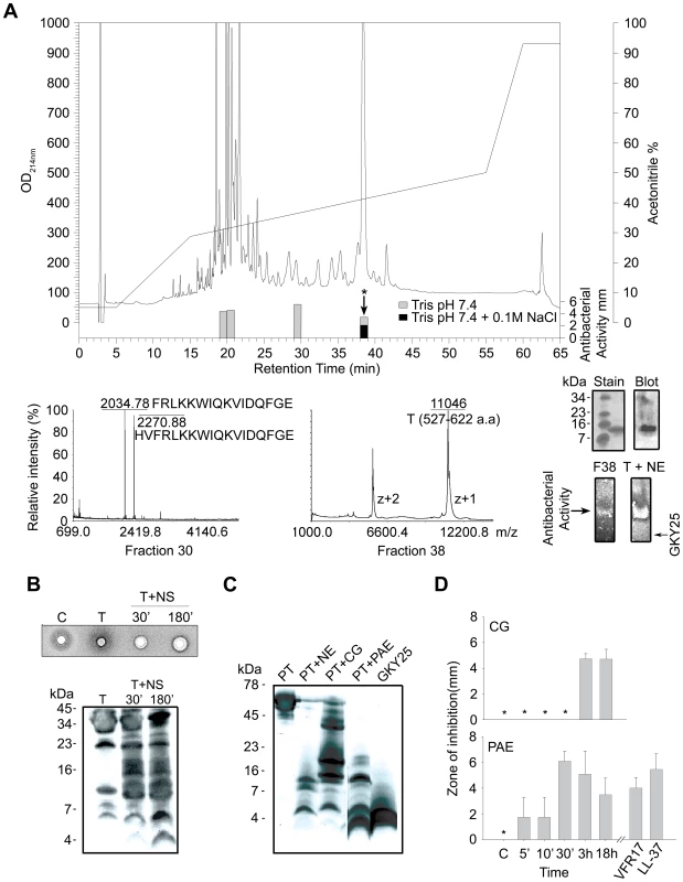 Identification of antibacterial regions of thrombin and prothrombin.