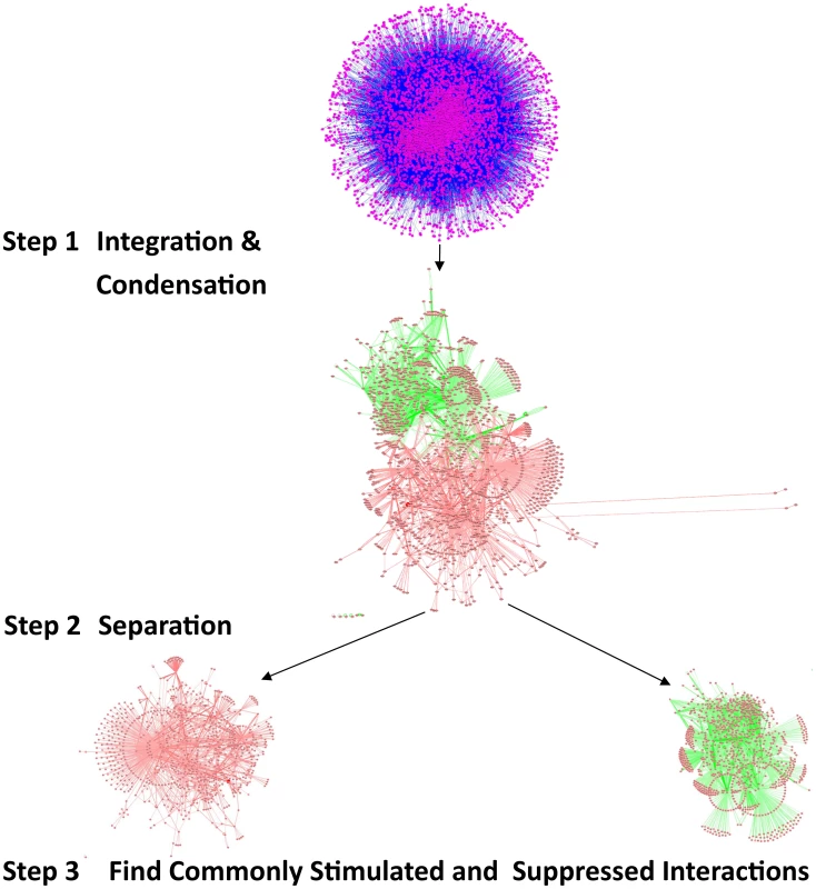 Comparing the influence of gene-expression changes upon DR, in multiple interactomes.