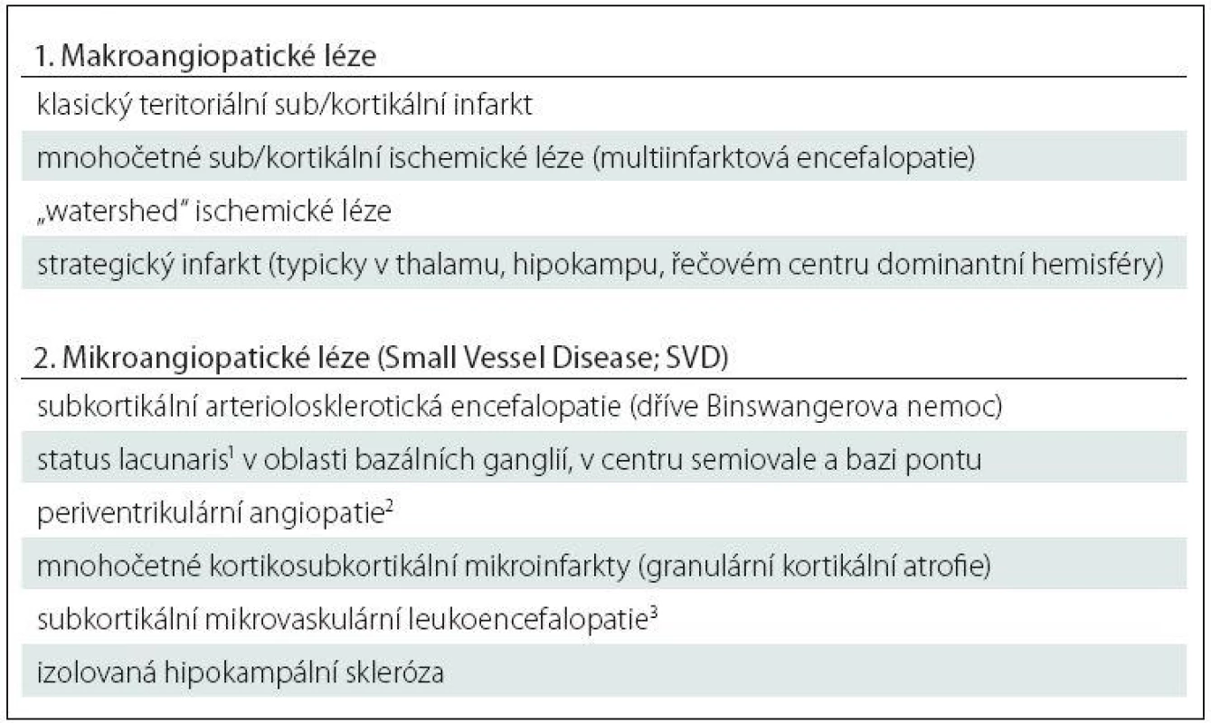 Vaskulární patologie.