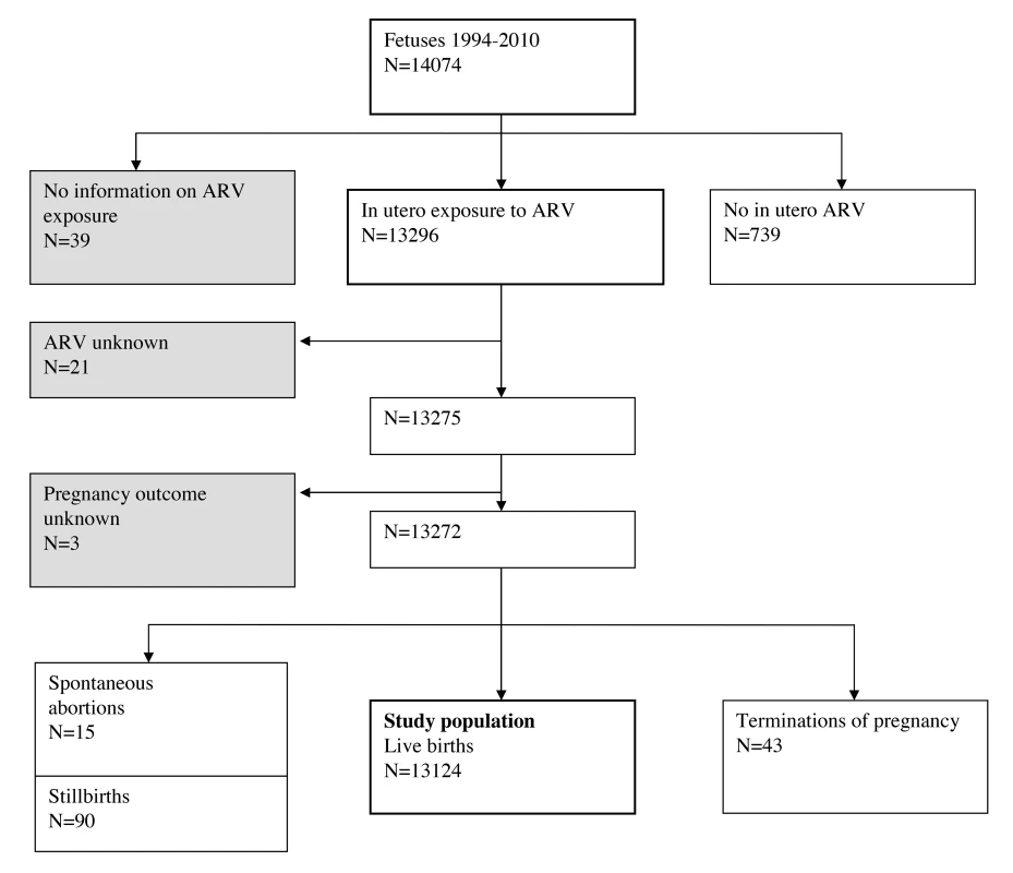 Study population: French Perinatal Cohort (ANRS CO1/CO11).