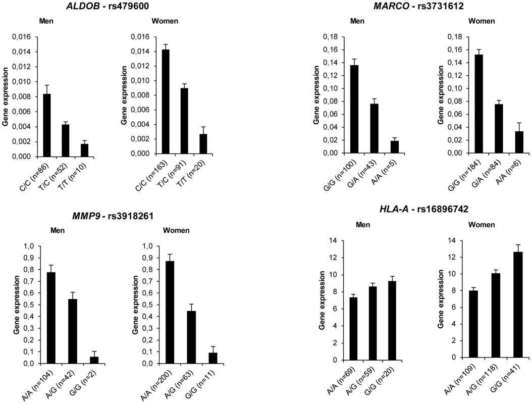 Adipose tissue gene expression according to genotype distribution of <i>cis</i> signals.