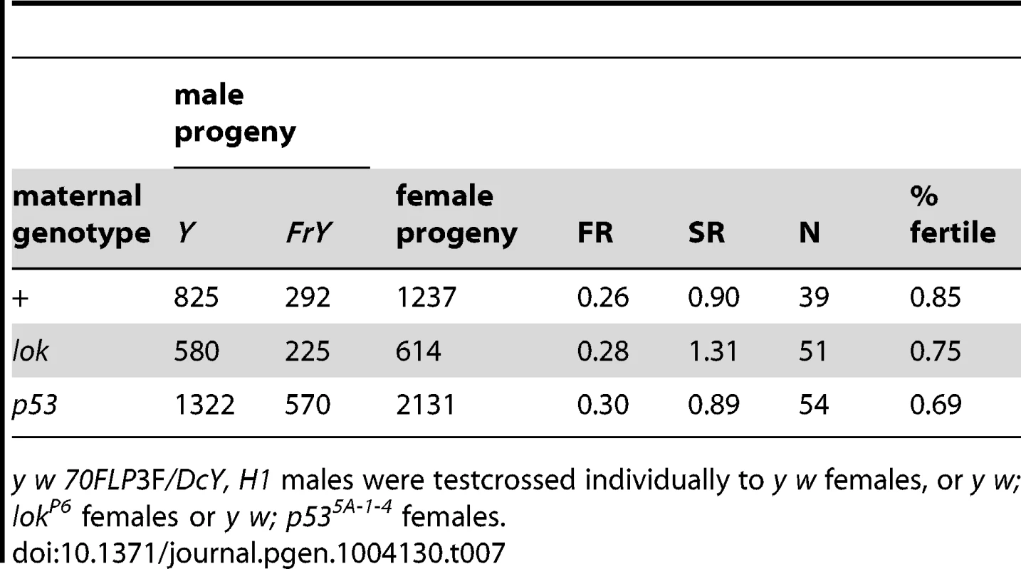 Effect of maternal genotype on <i>FrY</i> recovery (38 1 hr. heat shock at 0–24 hours of development).