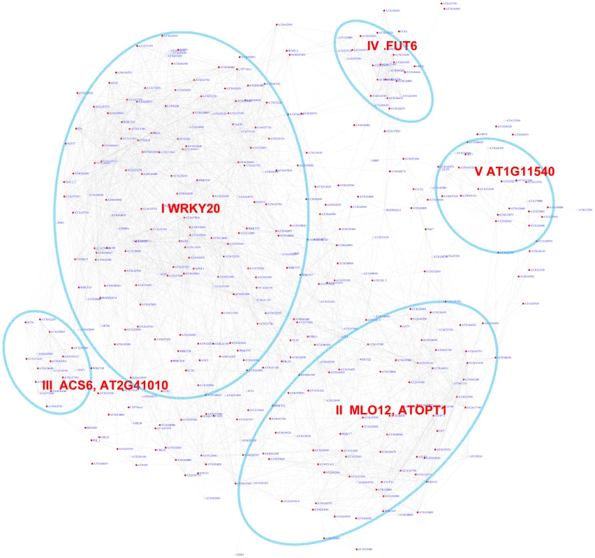 A sub-network for the W-box motif based on the motif enrichment analysis.