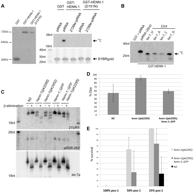 HENN-1 is the <i>C. elegans</i> homolog of Hen1.