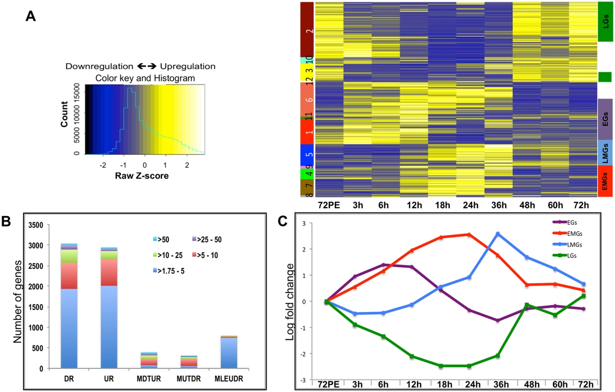 Expression dynamics of <i>A</i>. <i>aegypti</i> fat body genes post blood meal.