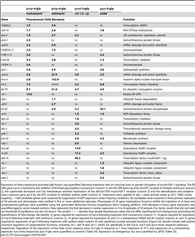 Gene inactivations that inhibit cytoprotective responses.
