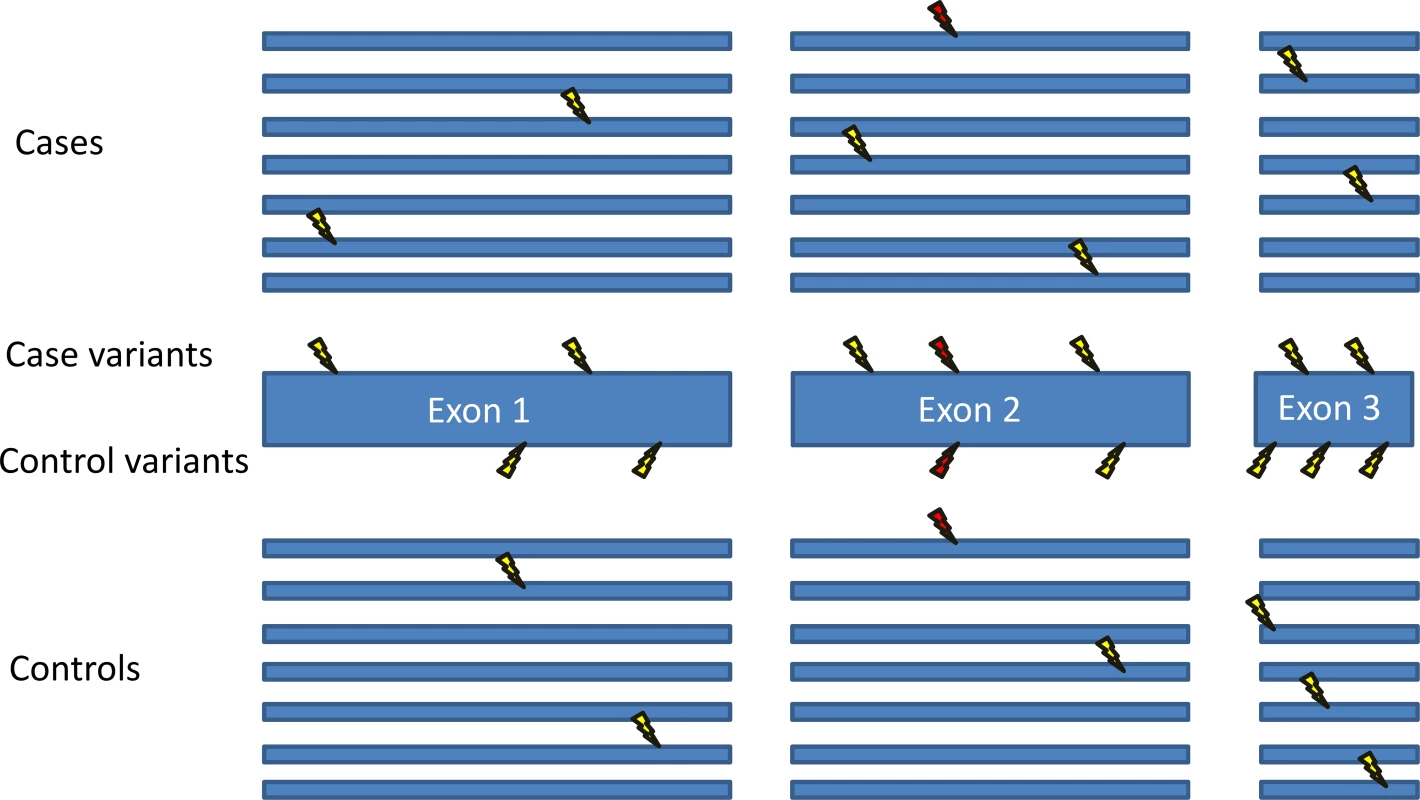 Gene-based collapsing analysis.