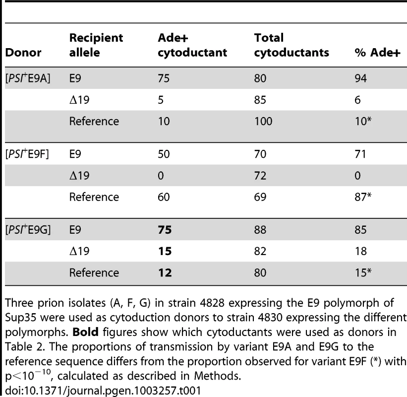 Variable transmission of [<i>PSI</i><sup>+</sup>E9]E9 isolates A, F, and G to polymorphs Sup35ref, Sup35E9, and Sup35Δ19 shows that they are distinct prion variants.