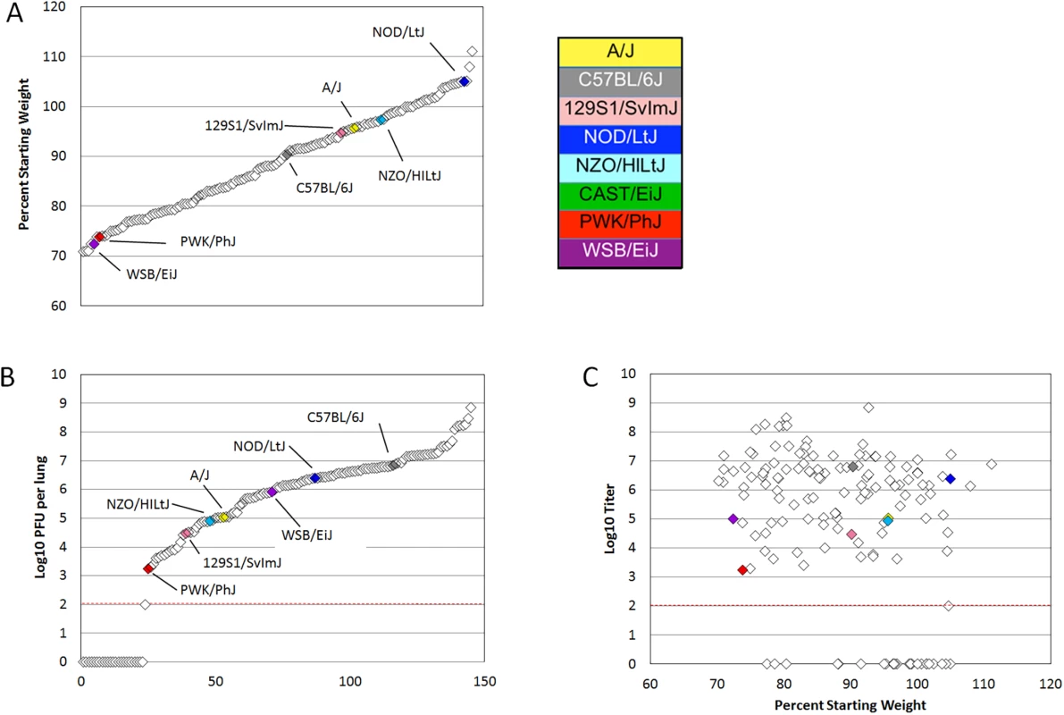PreCC and founder strain phenotypes.