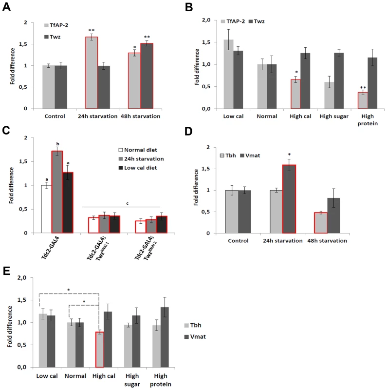 Diet regulates <i>TfAP-2</i> and <i>Twz</i> transcript levels.