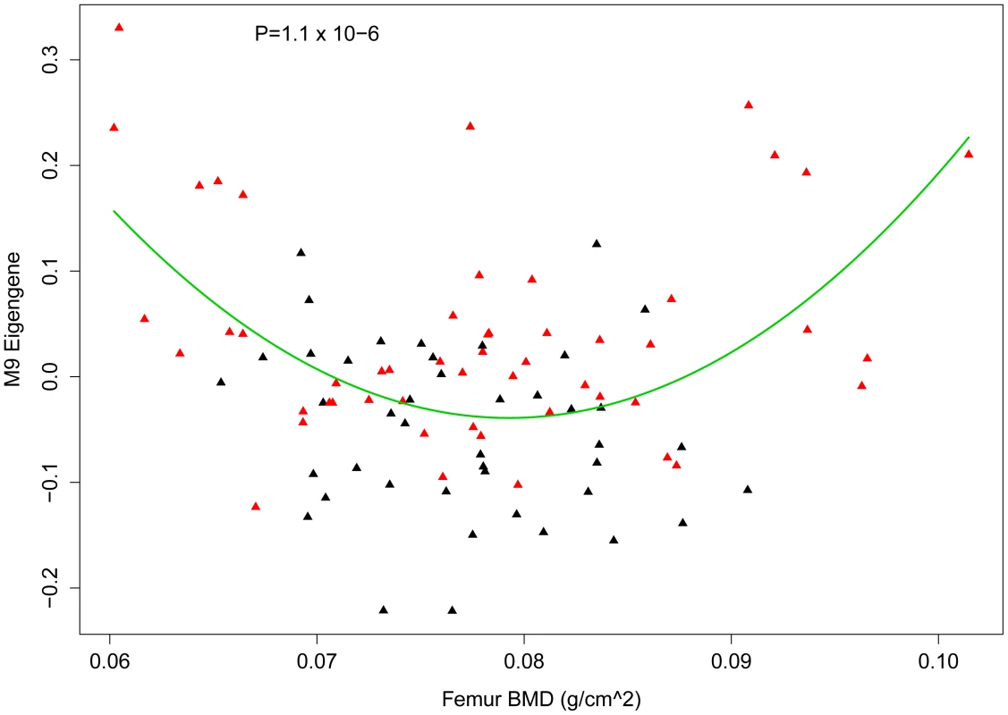 Nonlinear association between the M9 eigengene and BMD.