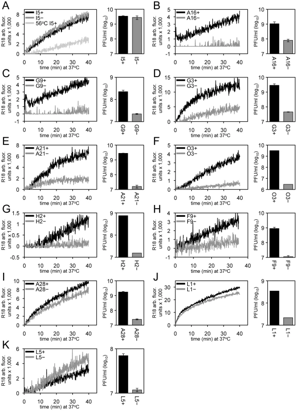 Effects of deficiencies of individual virion membrane proteins on membrane fusion and virus infectivity.