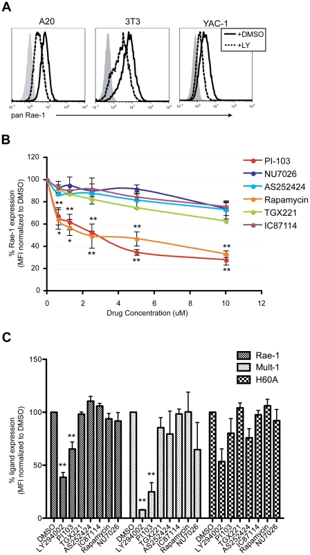 p110α PI3K is involved in the maintenance of RAE-1 and MULT-1 expression on transformed cells.