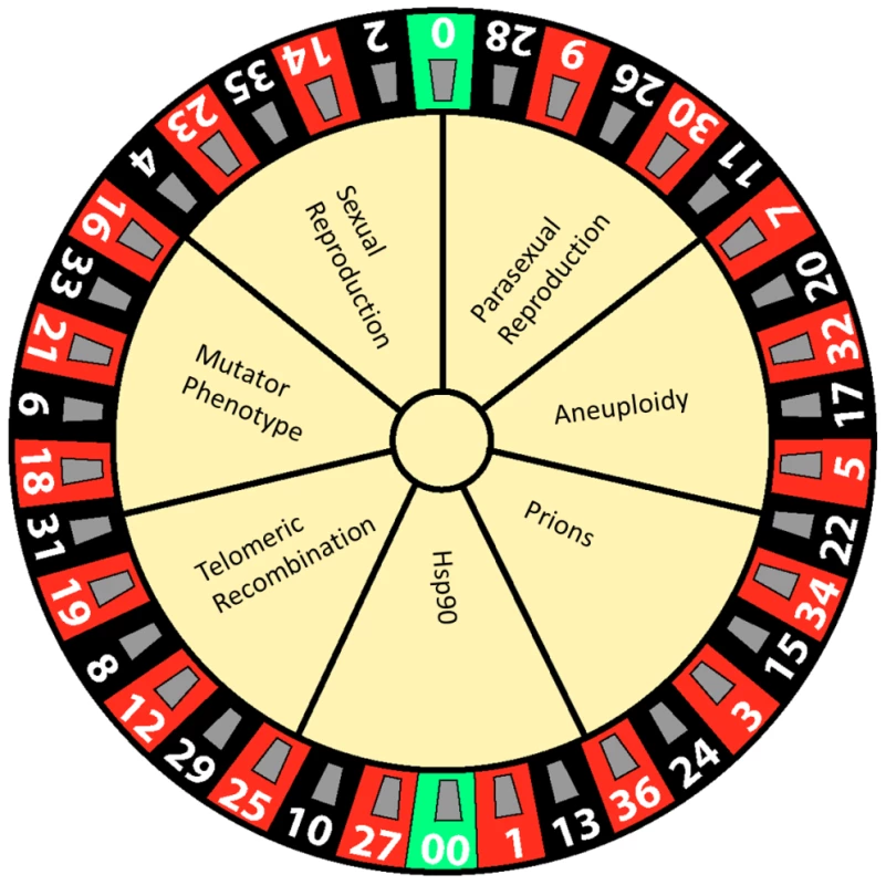 Generators of phenotypic diversity illustrated as a game of chance.
