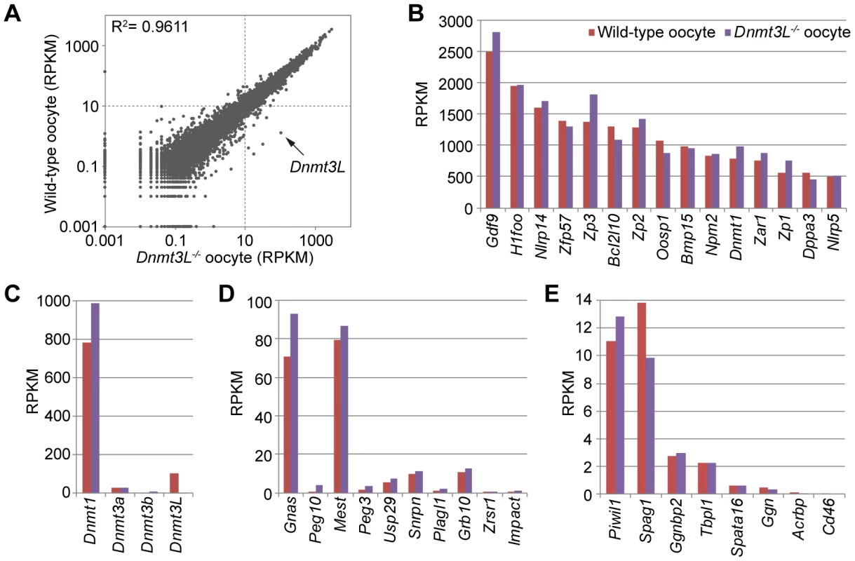 Comparison of gene expression profiles between wild-type and <i>Dnmt3L<sup>−/−</sup></i> oocytes.