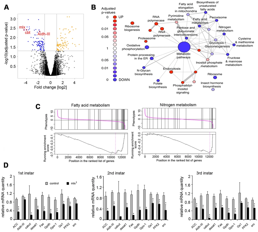 Mlx-regulated gene expression program.