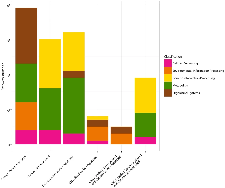 KEGG pathway classifications.