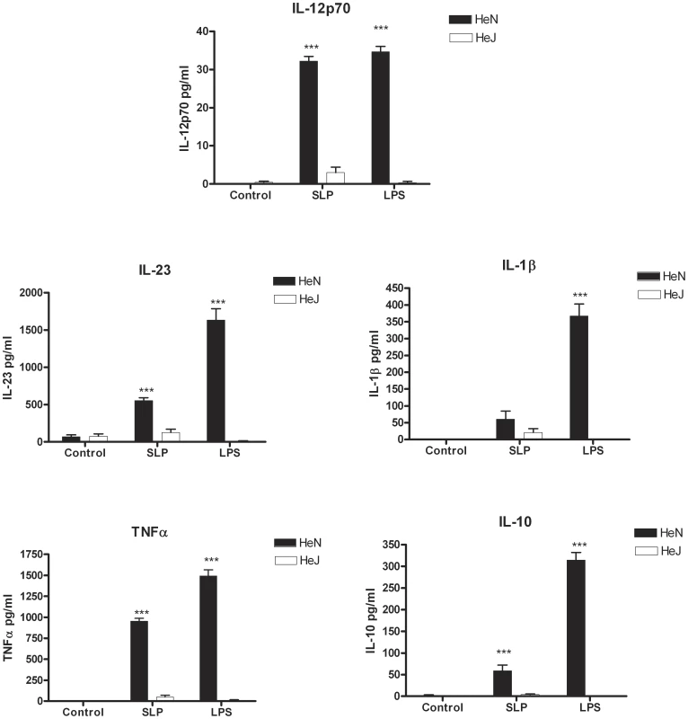 SLPs induce cytokine production in BMDC via TLR4.