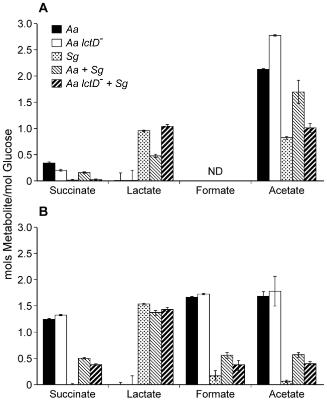 Metabolite production by <i>A. actinomycetemcomitans</i>, <i>A. actinomycetemcomitans lctD</i><sup>-</sup>, and <i>S. gordonii</i> in aerobic or anaerobic co-cultures.