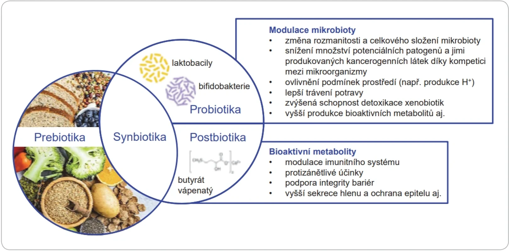 Synbiotika a význam jejich složek v prevenci onkologických onemocnění.