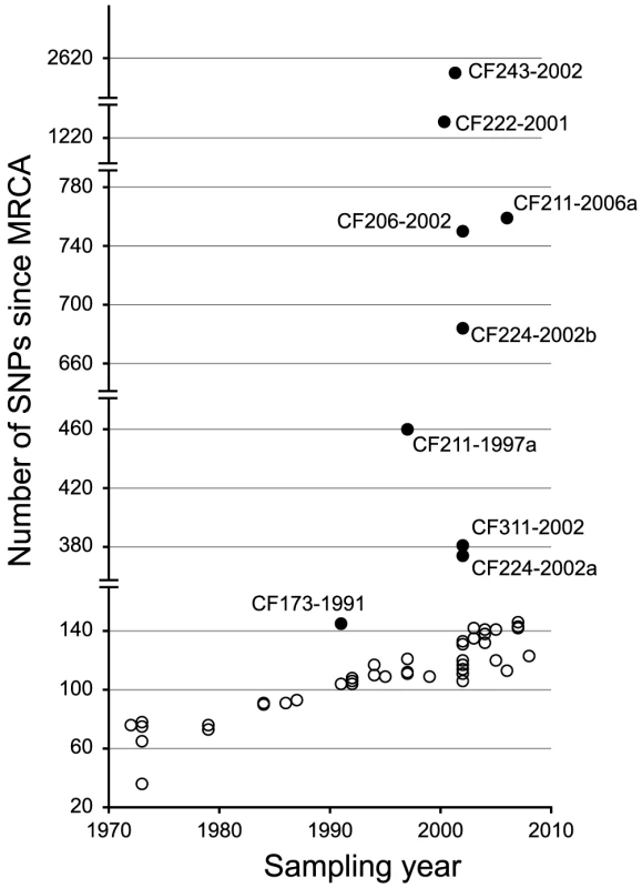 Total number of SNPs accumulated in each DK2 isolate.