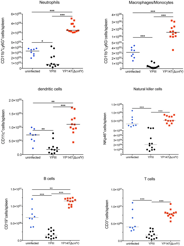 Analysis of immune cells recruited to the spleen after infection with <i>Y. pseudotuberculosis</i> YPIII or YP147.