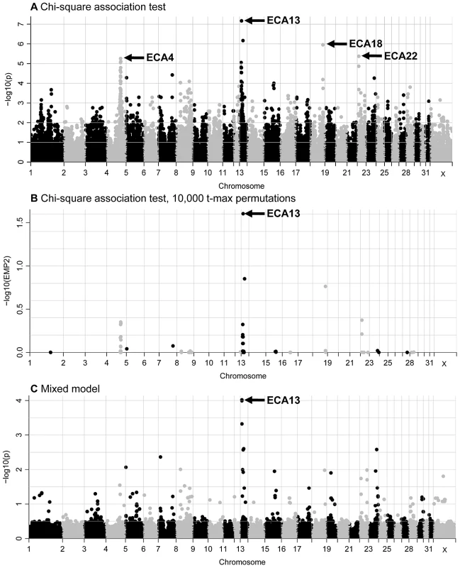 GWAS plots for the IAR phenotype displaying results for the 52,583 SNPs that passed quality control.
