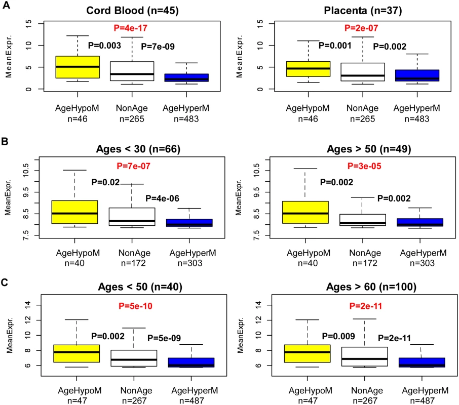 Age-associated hypermethylation (hypomethylation) targets lowly (highly) expressed genes.