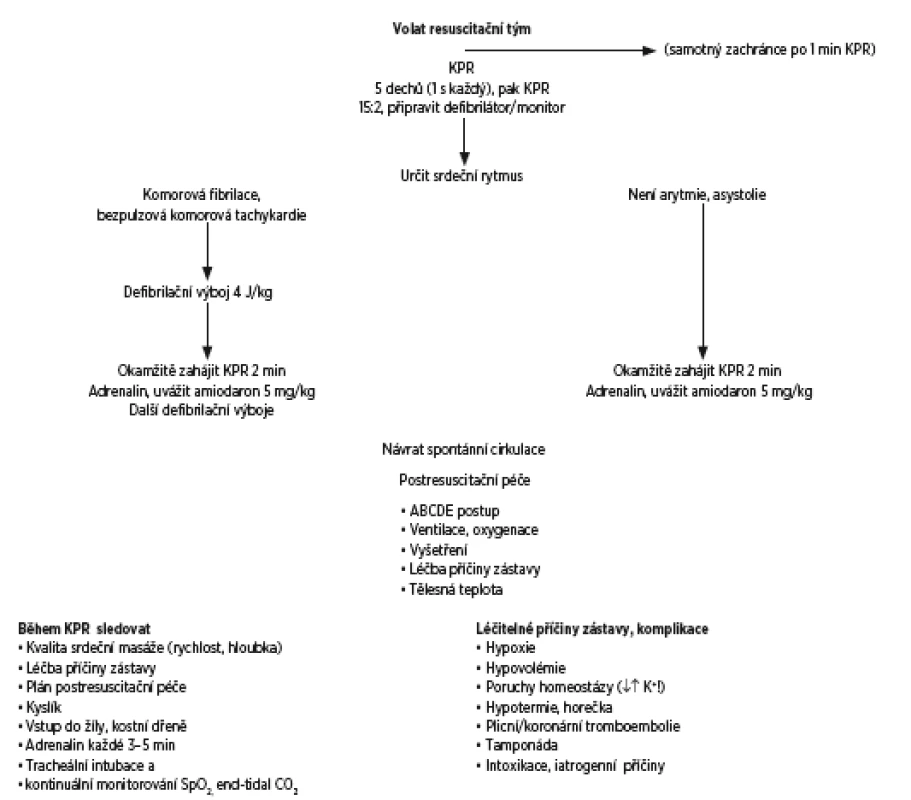 Resuscitace dětí profesionály – Paediatric Advanced Life Support 2015.