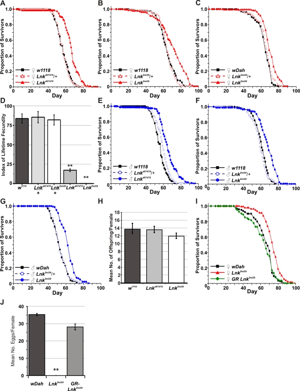 Mutation of <i>Lnk</i> extends lifespan in both sexes and reduces female fecundity.