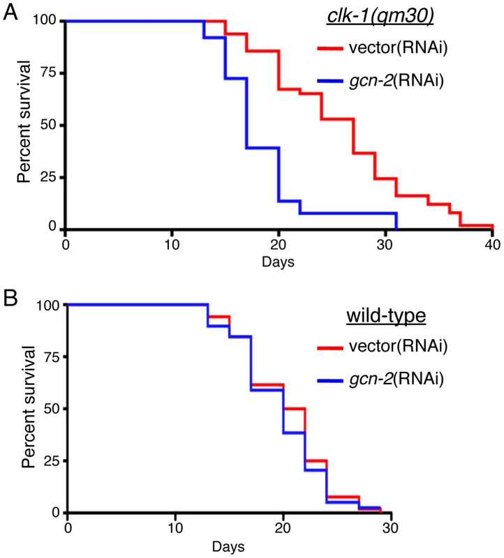 GCN-2 Is Required for the Lifespan Extension Associated with Mitochondrial Dysfunction.