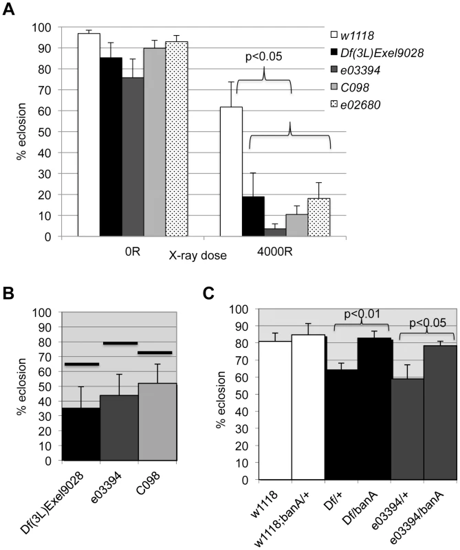<i>tie</i> interacts with <i>ban</i> to promote radiation survival.