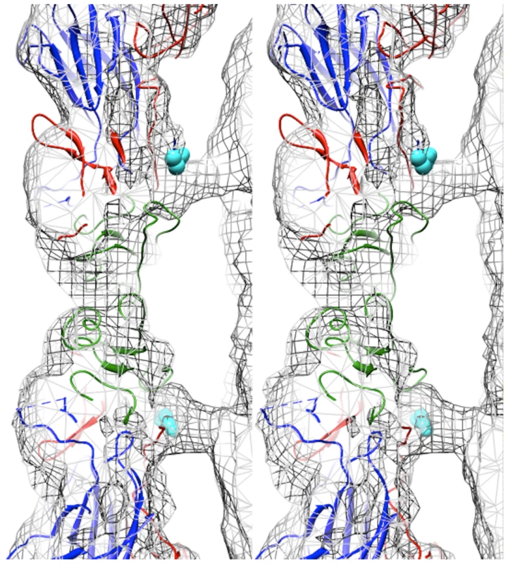 Capsid-RNA interactions in the EV71 A-particle.