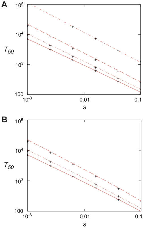 Fixation time for adaptive mutations.