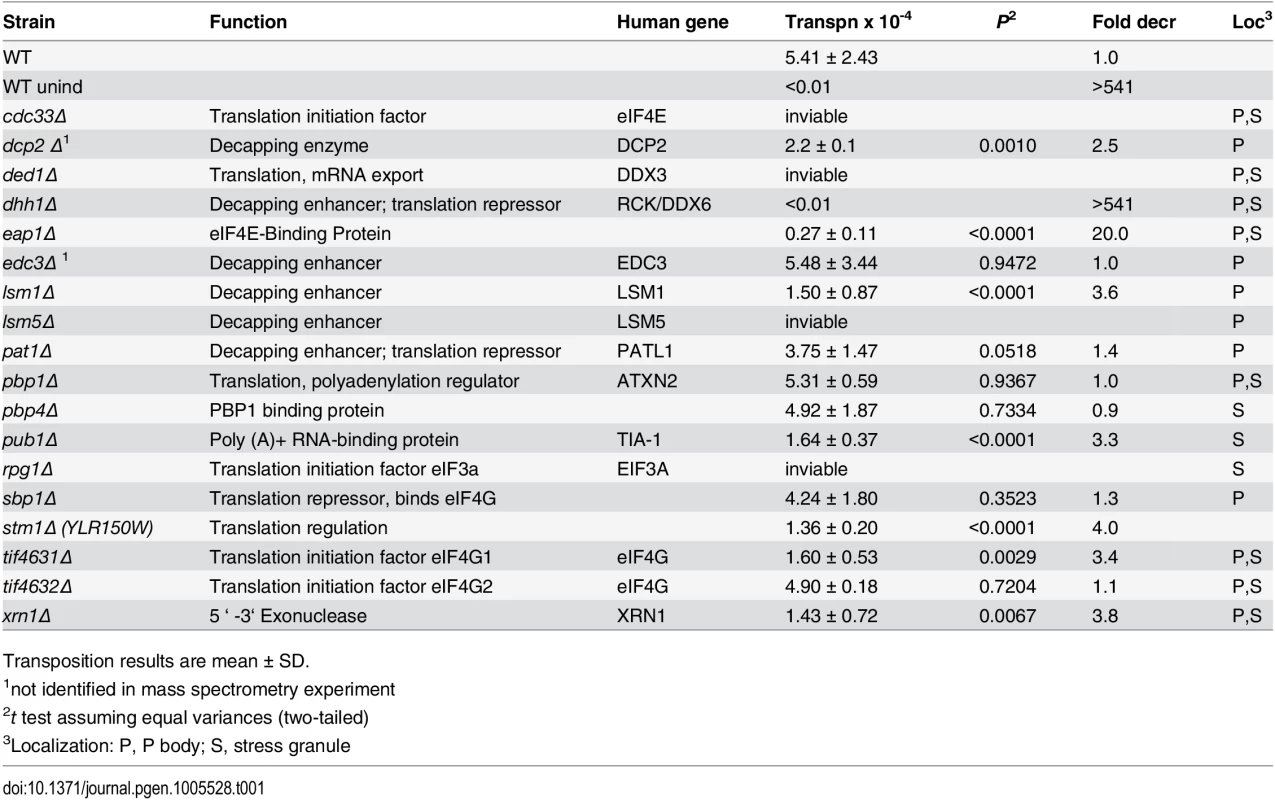 Ty3 transposition results in identified strains.