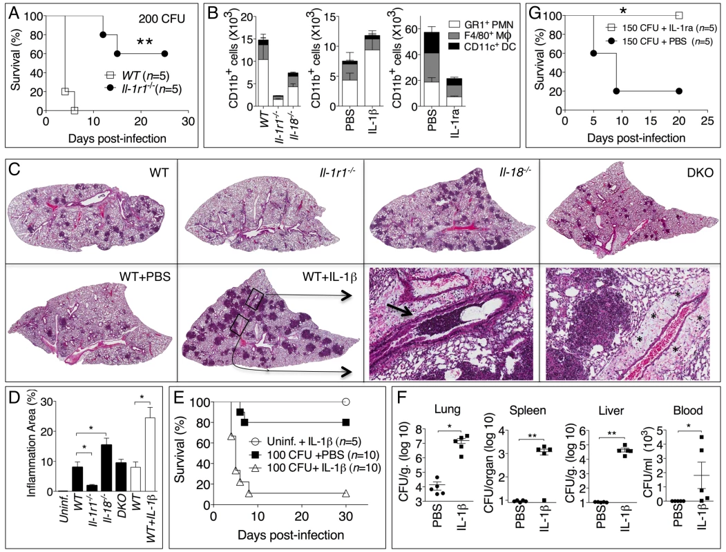 Deleterious role of IL-1β in melioidosis.