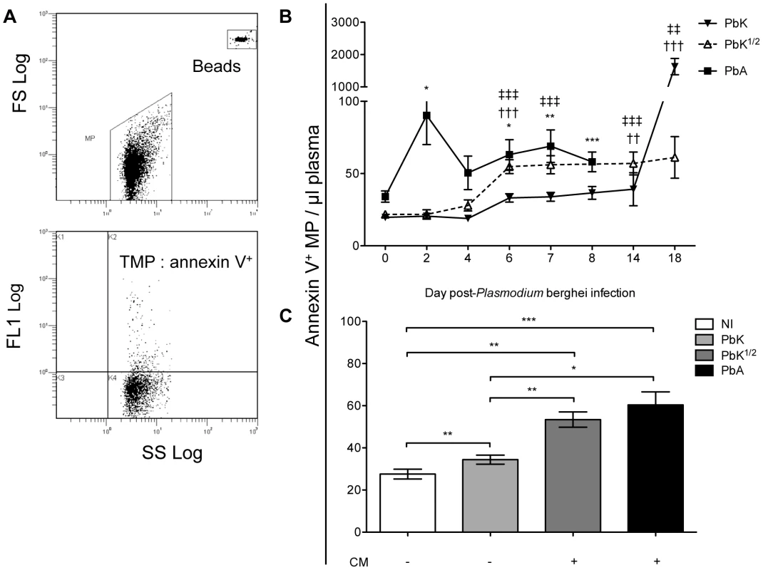 Total plasma microparticle levels during <i>Plasmodium berghei</i> infection.