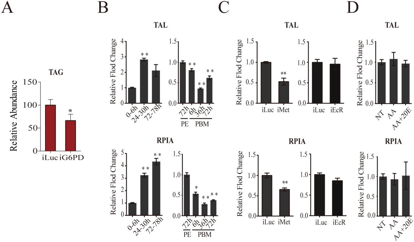 Analysis of pentose phosphate pathway genes.