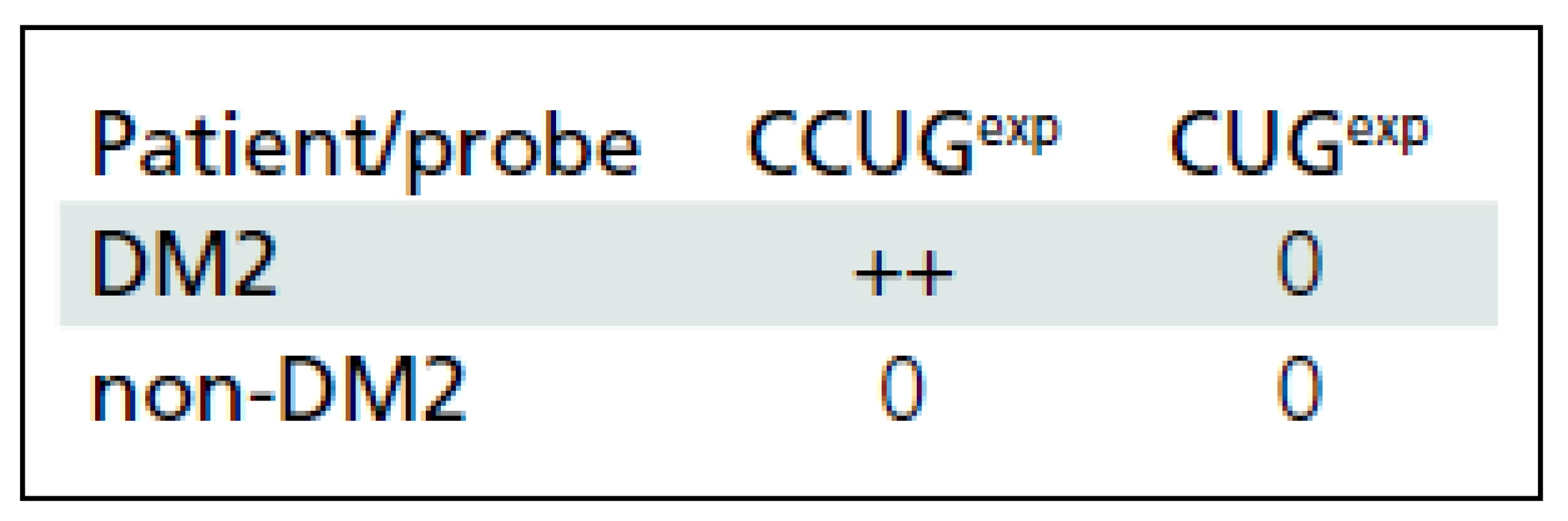 Reaction of lymphocytes with CUG/CCUG probes in DM2 and non-DM2 patients. Positive reactivity with CCUG<sup>exp</sup> probe identified in lymphocytes from DM2 patients only.