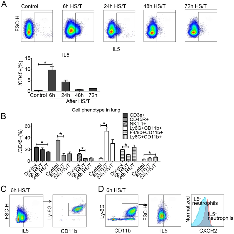 Change of cell phenotype in the lungs of mice after resuscitated hemorrhagic shock and tissue trauma (HS/T) and the cell resource of type 2 cytokine interleukin (IL) 5.