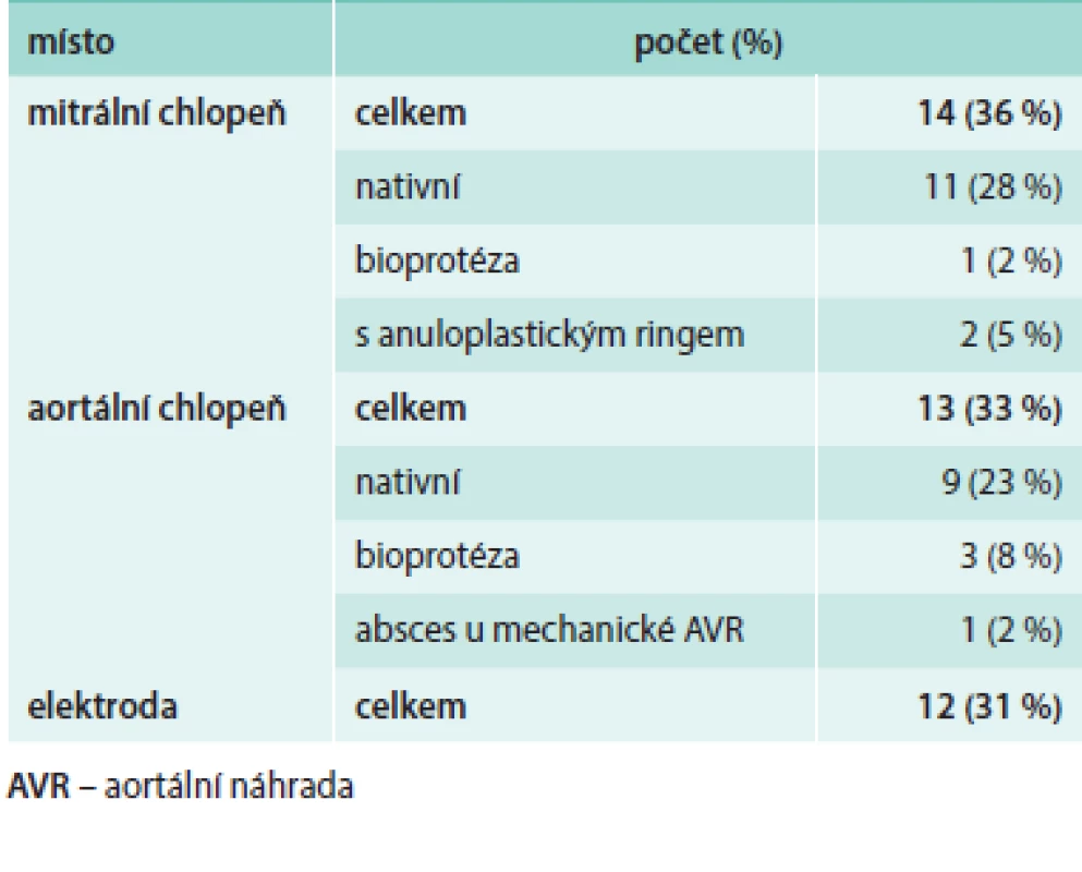 Lokalizace endokarditidy