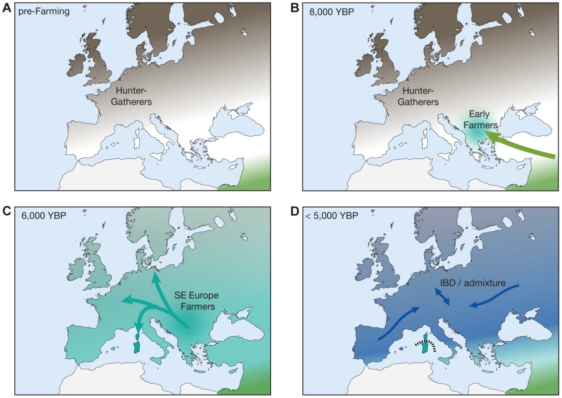 A simplified model for recent demographic history of Europeans.