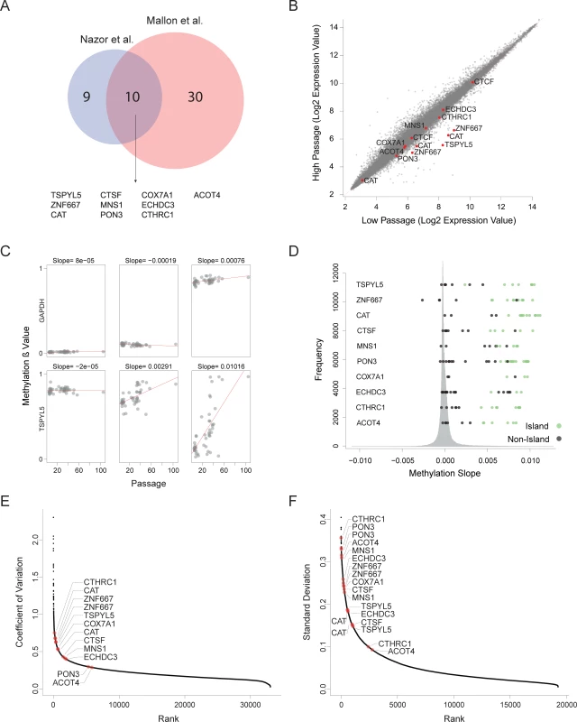 Recurrent hypermethylation during culturing occurs at regulatory CpG Islands.